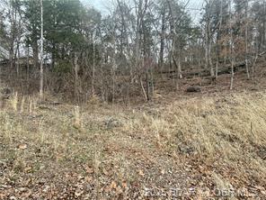 Wa Ha Ma Court, Camdenton, Missouri 65020