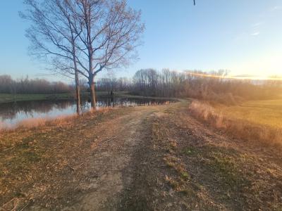 Add Osburn Rd, Union City, Теннесси 38261, Соединенные Штаты