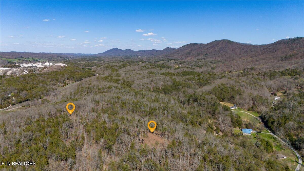Wolfenbarger Tract 1, Luttrell, Tennessee 37779, Estados Unidos