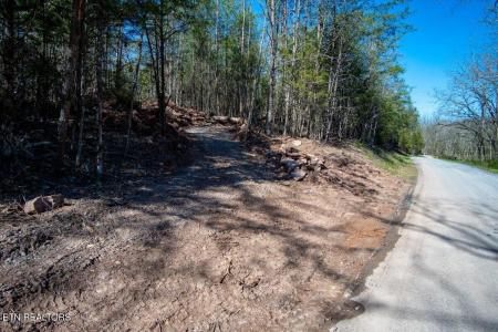Wolfenbarger Tract 1, Luttrell, Tennessee 37779, Estados Unidos