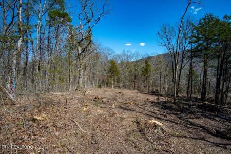 Wolfenbarger Tract 1, Luttrell, Tennessee 37779, Estados Unidos