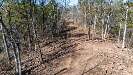 Wolfenbarger Tract 1, Luttrell, Tennessee 37779, Estados Unidos