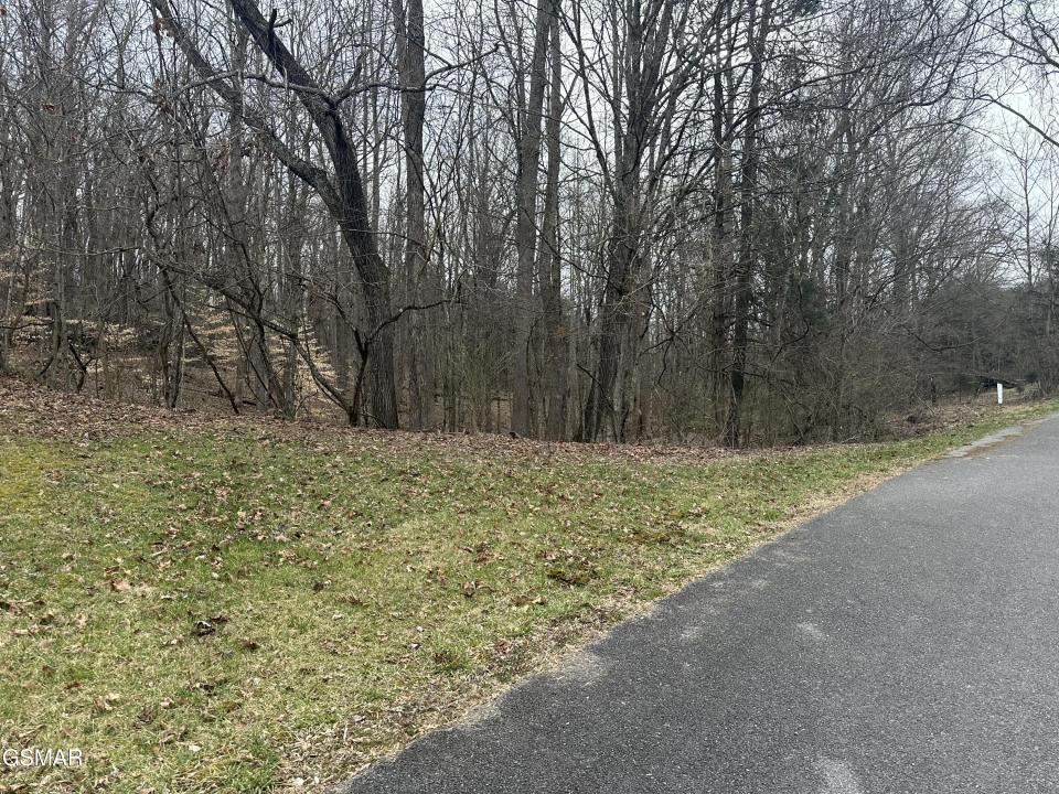 Lot 4 Pilgrim Rd., Dandridge, 테네시 37725, 미국