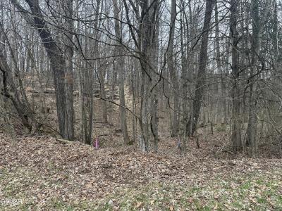 Lot 4 Pilgrim Rd., Dandridge, Tennessee 37725, USA
