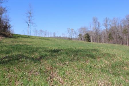 1 Grices Creek Rd, Cumberland City, Tennessee 37050, Estados Unidos