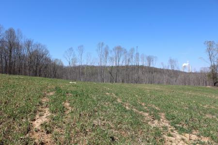 1 Grices Creek Rd, Cumberland City, Tennessee 37050, Estados Unidos