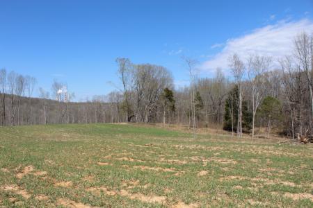 1 Grices Creek Rd, Cumberland City, Tennessee 37050, Estados Unidos