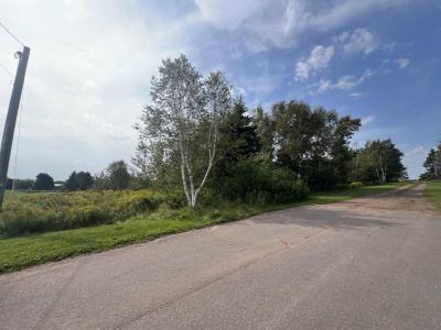 95 JILLIAN DRIVE, Cornwall, 爱德华王子岛 C0A 1H4, 加拿大