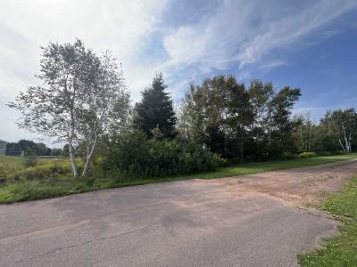 95 JILLIAN DRIVE, Cornwall, 爱德华王子岛 C0A 1H4, 加拿大