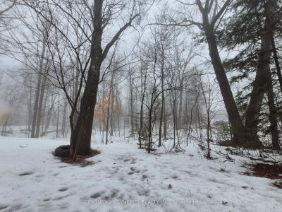 149 LANE STREET, Constance Bay - Dunrobin - Kilmaurs - Woodlawn, Ontario K0A 3M0, Canadá