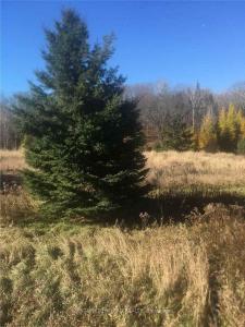 4430 LOWER FARADAY ROAD, Wollaston, Ontario K0L 1P0, Canadá