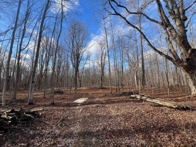 55 POST ROAD, Centre Hastings, Ontario K0K 3H0, Canada