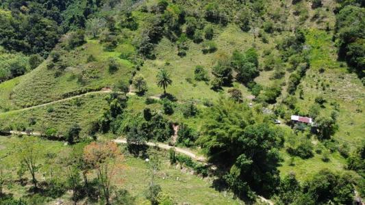 Tayutic Turrialba, Cartago 30501, Costa Rica