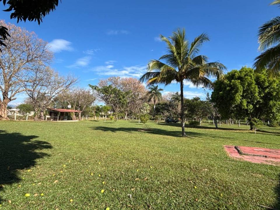 Garita Alajuela, Alajuela 00001, コスタリカ