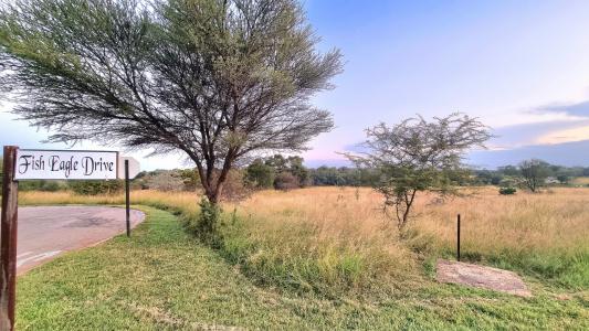 Modimolle, Limpopo, South Africa