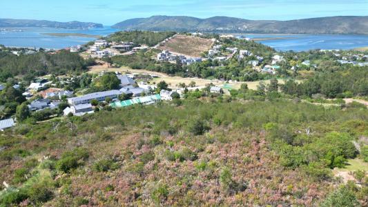 Knysna, Western Cape, Nam Mỹ