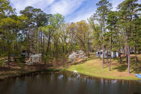 102 King Henry, Scroggins, Texas 75480, Estados Unidos