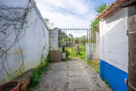 Montemor O Velho, Coimbra 3140-021, Bồ Đào Nha