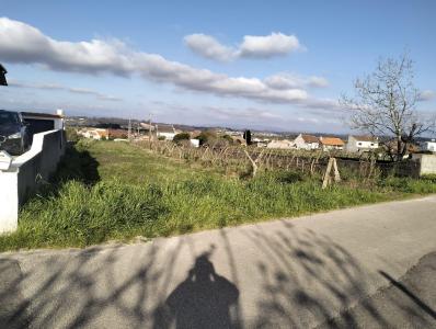 Aveiro, Aveiro 3800-065, Portogallo