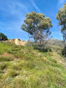 Málaga, Andalucía 29650, Spain