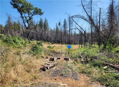 7 Huffright Lane, Berry Creek, California 95916