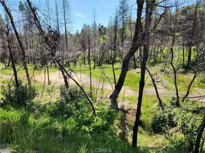 7 Huffright Lane, Berry Creek, California 95916