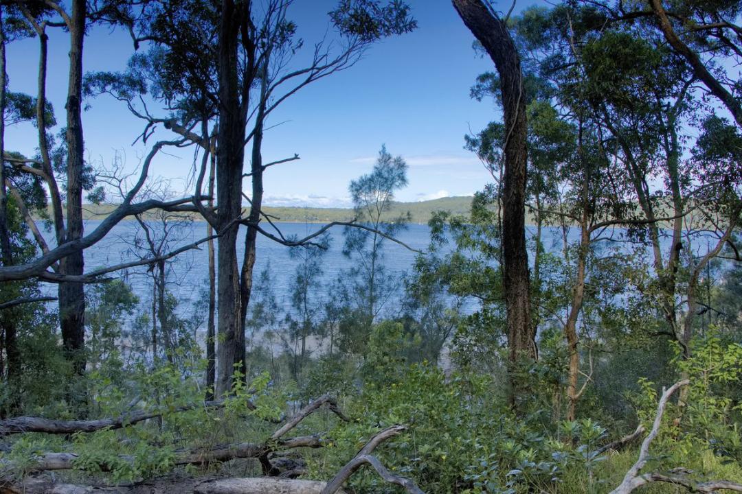 Lot 1439 Merriwa Blvd, North Arm Cove, NSW 2324, Australia