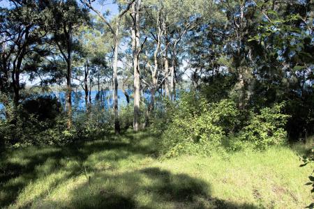 Lot 1439 Merriwa Blvd, North Arm Cove, NSW 2324, Australia