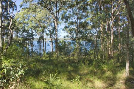 Lot 1439 Merriwa Blvd, North Arm Cove, NSW 2324, Australia