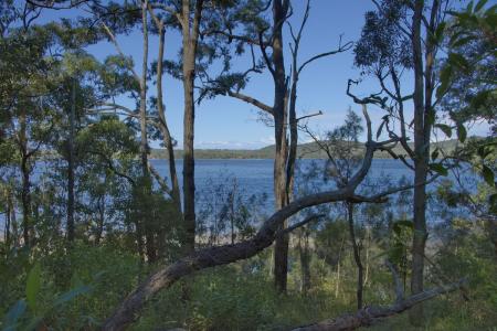 Lot 1439 Merriwa Blvd, North Arm Cove, NSW 2324, Australia