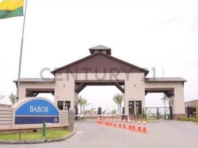 Isla Celeste, Babor s/n, Guayaquil, Guayas 00001, Ecuador