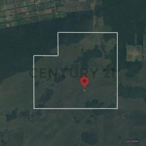 Fuerte Olimpo, Alto Paraguay 00001, باراغواي