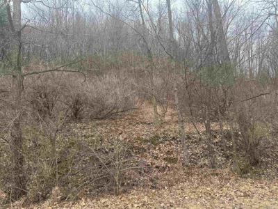 Lot 2, Fairview Dr, Richland Center, Wisconsin 53581, Estados Unidos