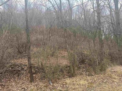 Lot 2, Fairview Dr, Richland Center, Wisconsin 53581, Estados Unidos