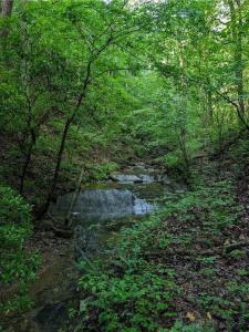 772 Naomi Court, Ranger, Georgia 30734, USA