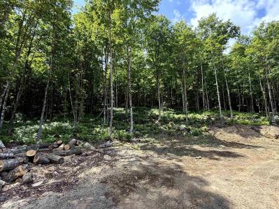 - Foliage Lane Lot 1B, Westmore, Vermont 05822, Estados Unidos