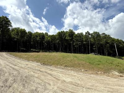 - Foliage Lane Lot 1B, Westmore, Vermont 05822, Estados Unidos