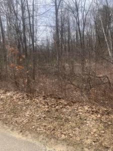 xxx Rivers Terrace, Gladwin, Michigan 48624, Estados Unidos