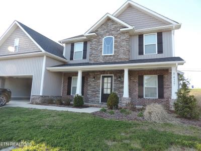 8427 Creek Valley Lane, Knoxville, Tennessee 37931, USA