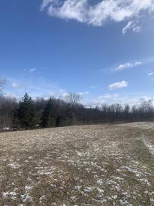 9350 Peach Ridge Avenue NW, Sparta, Michigan 49345, USA