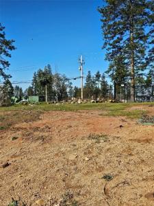 13664 Skyway, Magalia, קליפורניה 95954, ארצות הברית של אמריקה 