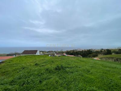Ponta Delgada, São Miguel Island 9545-323, Portugal