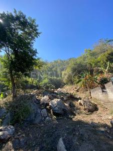 Carretera 200 03,, Puerto Vallarta, 哈利斯科 48292, 墨西哥