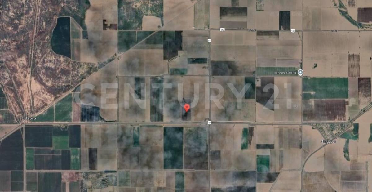 San Ignacio Río Muerto, Sonora 85518, Mexique