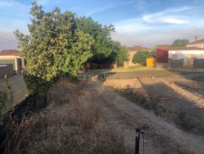 قادس, Andalucía 11205, إسبانيا