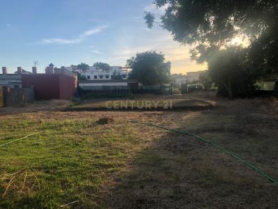 Cádiz, Andalucía 11205, Spain