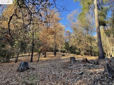 1-a Forest Lake RD, Sonora, Калифорния 95370, Соединенные Штаты