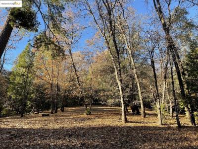 1-a Forest Lake RD, Sonora, Калифорния 95370, Соединенные Штаты