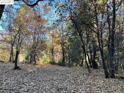 1-a Forest Lake RD, Sonora, Калифорния 95370, Соединенные Штаты