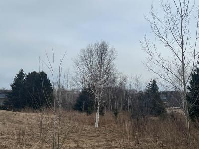 LOT RIVERVIEW DRIVE, Cornwall, 爱德华王子岛 C0A 1H4, 加拿大
